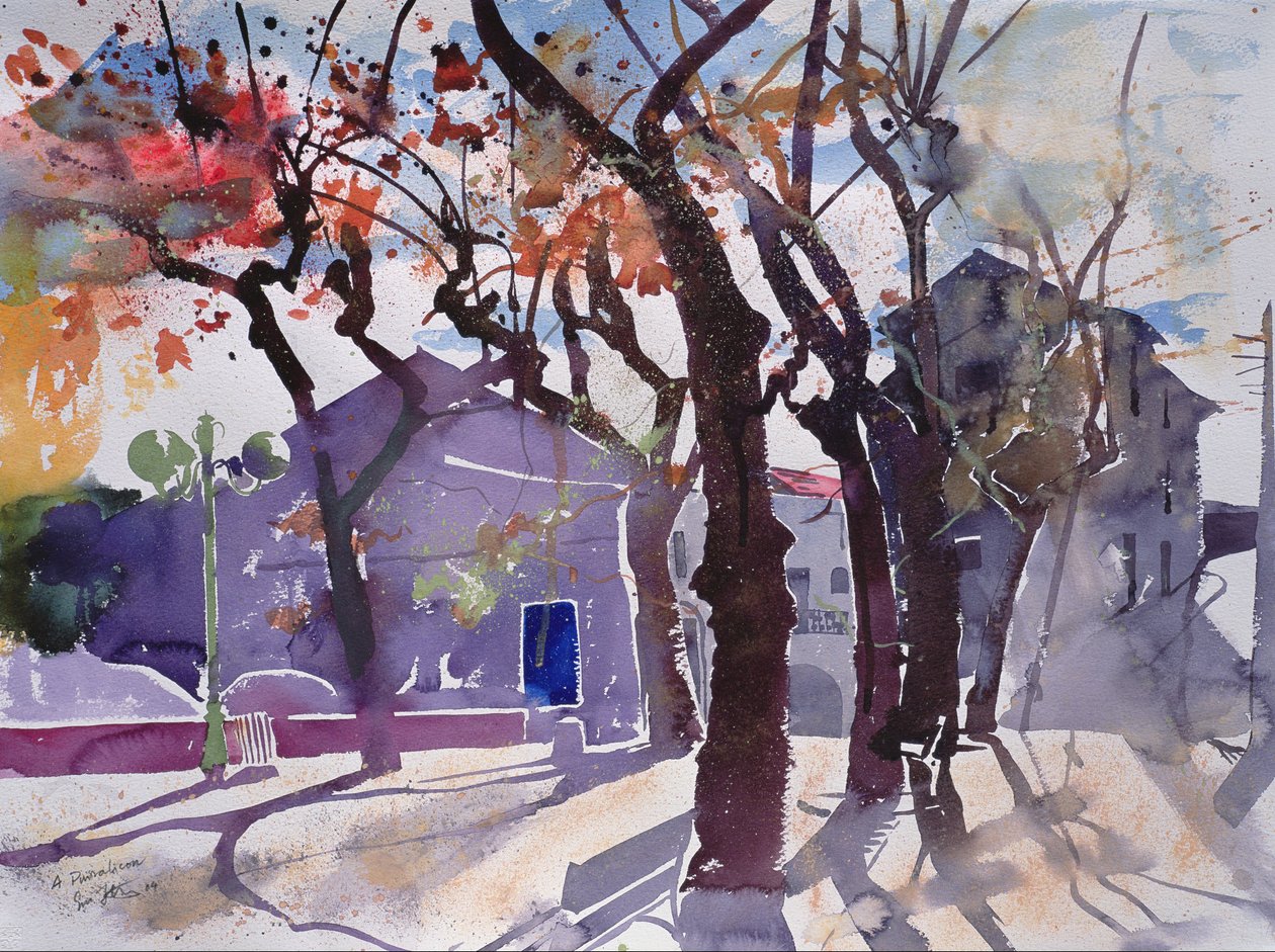 A Puissalicon, 2010 France by Simon Fletcher