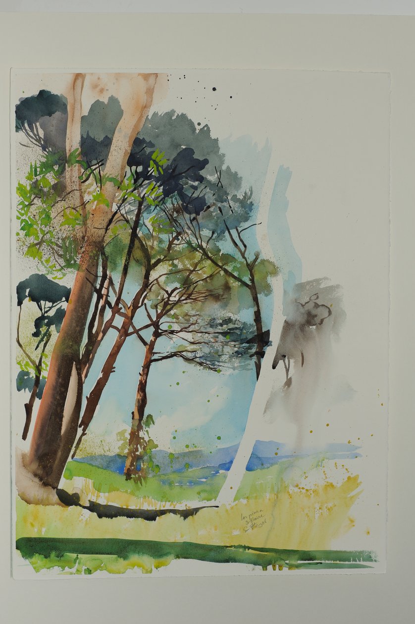 Pines at St. Blaise, 2004 by Simon Fletcher