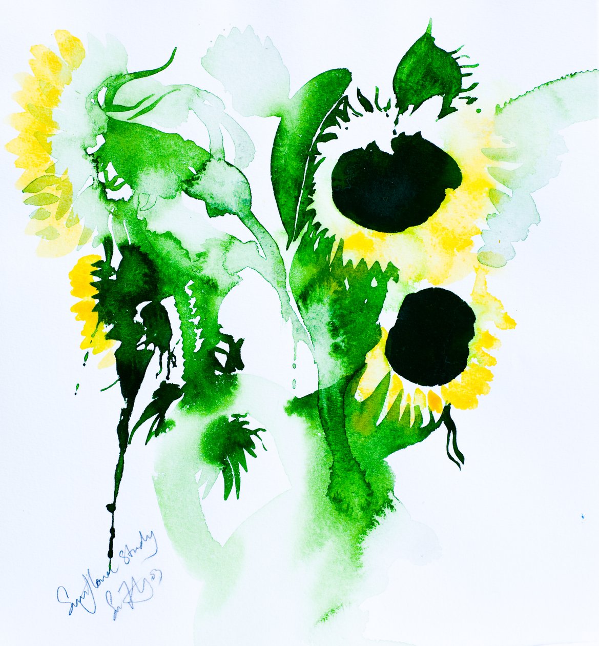 Sunflower Study, 2005 by Simon Fletcher