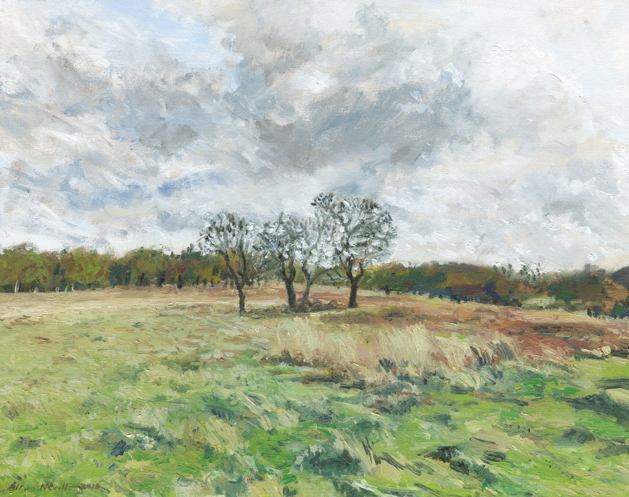 Richmond Park by Simon Neville