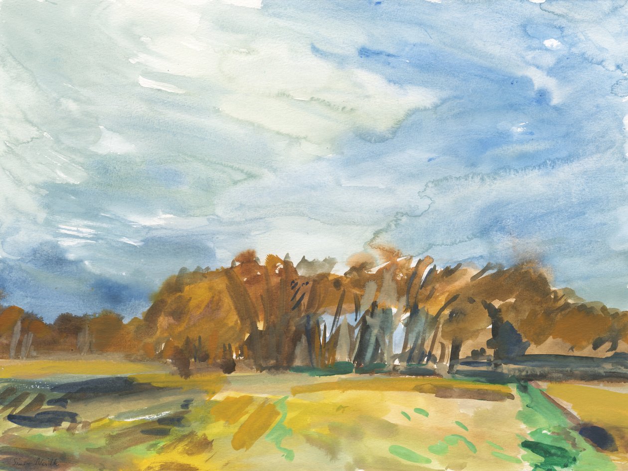 Richmond Park by Simon Neville
