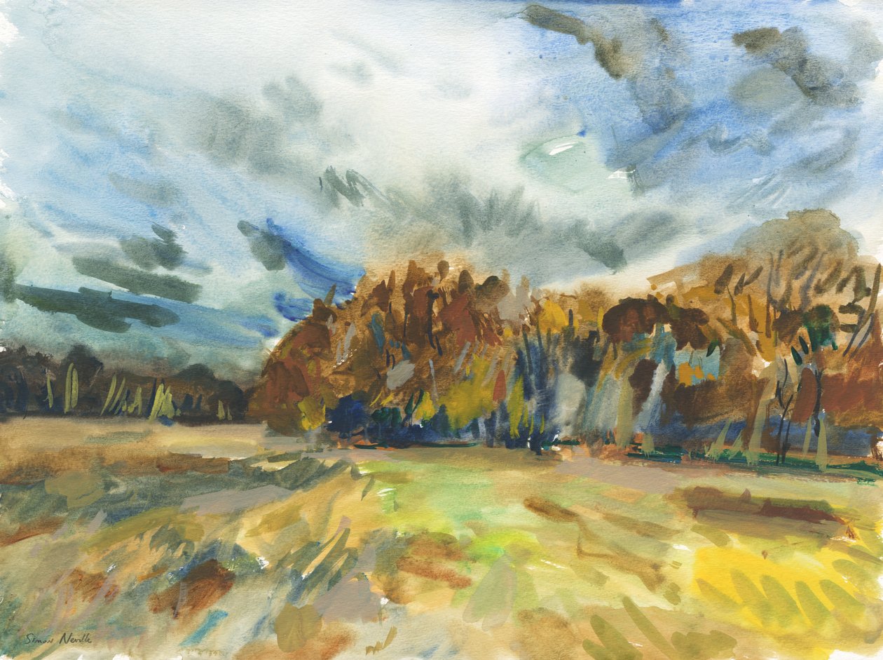 Richmond Park by Simon Neville