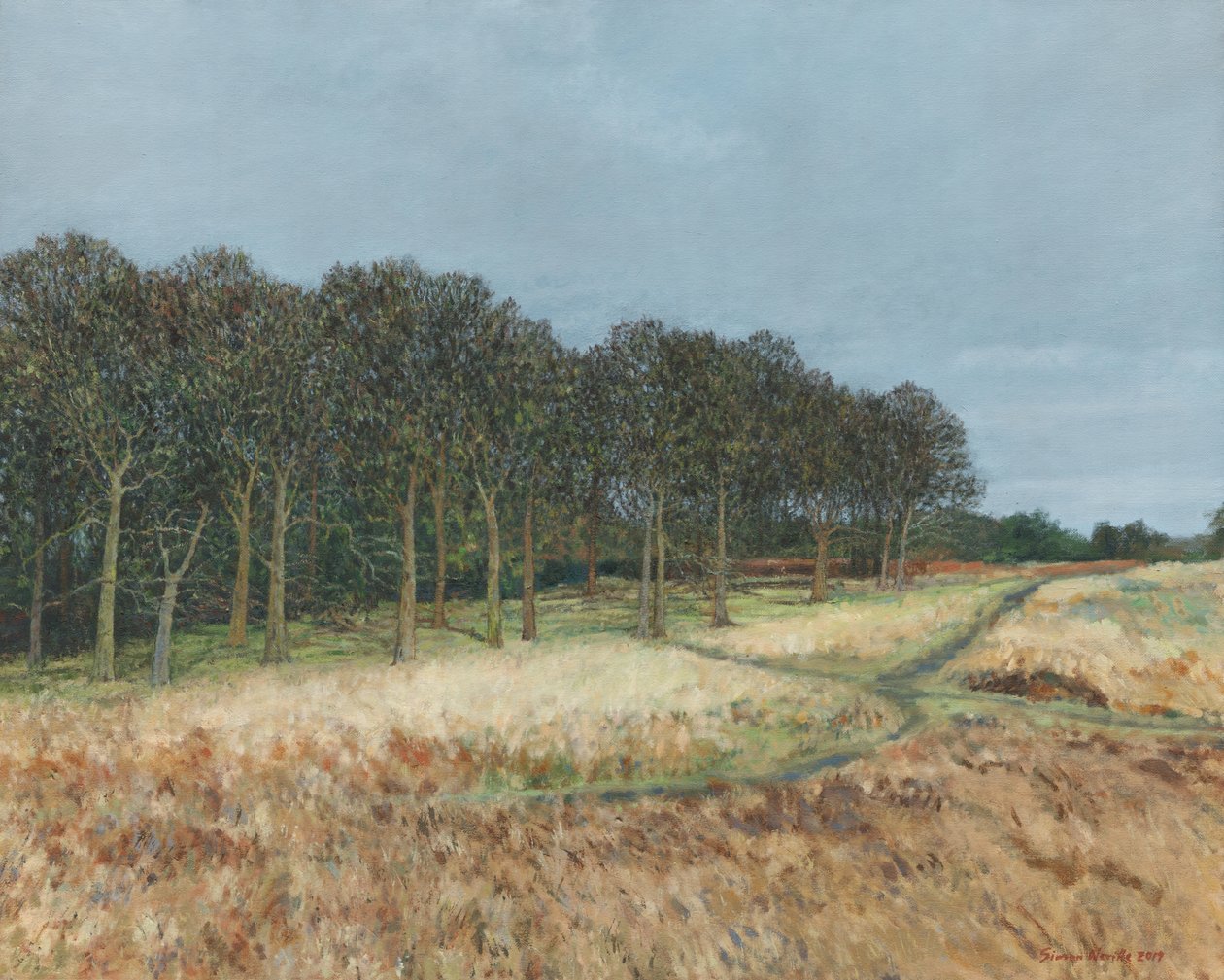 Woodland, Richmond Park by Simon Neville