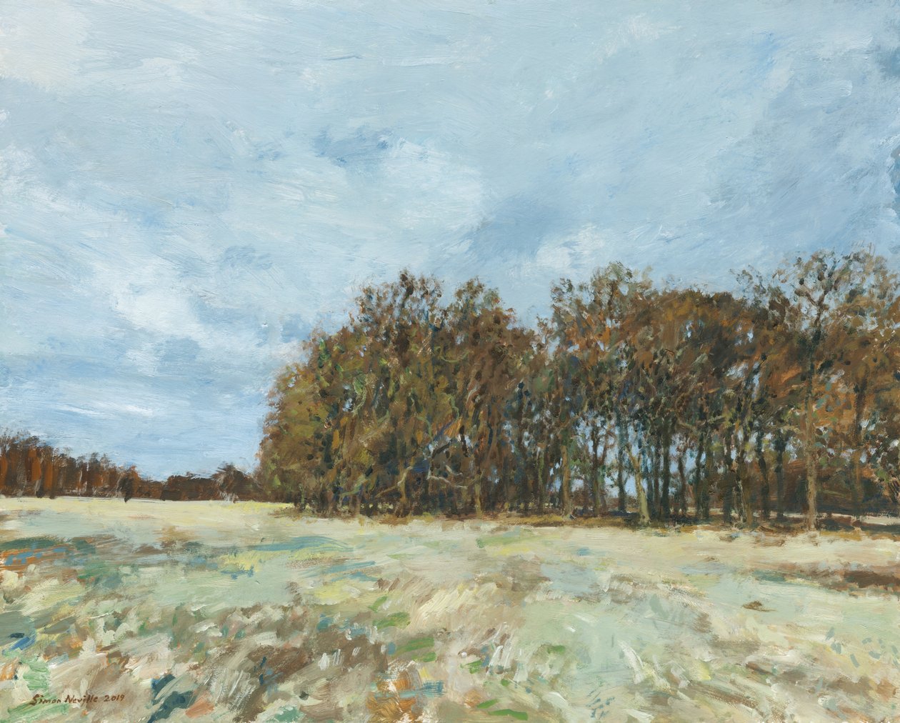 Woodland, Richmond Park by Simon Neville