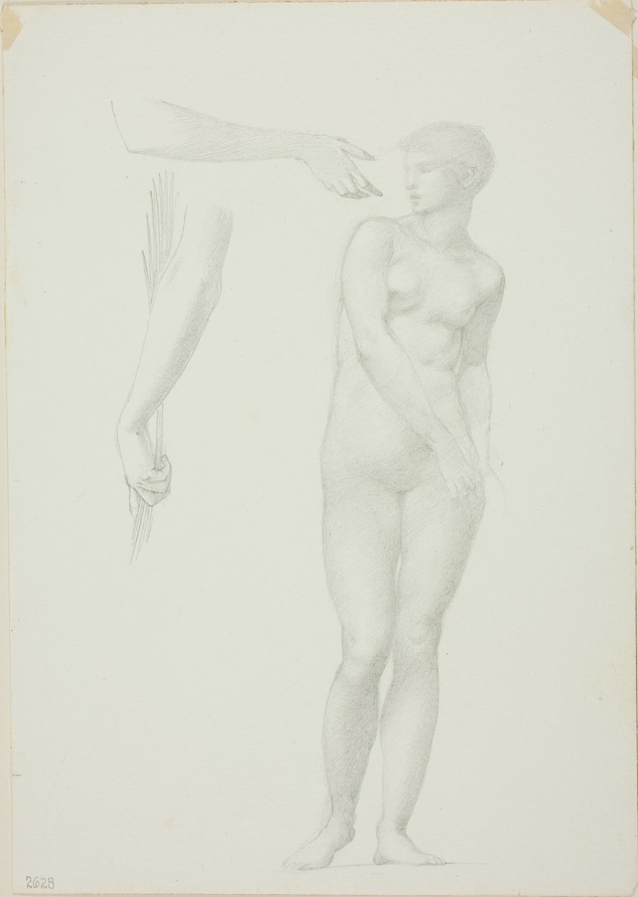 Standing Female Nude and Sketches of Arms by Sir Edward Burne Jones