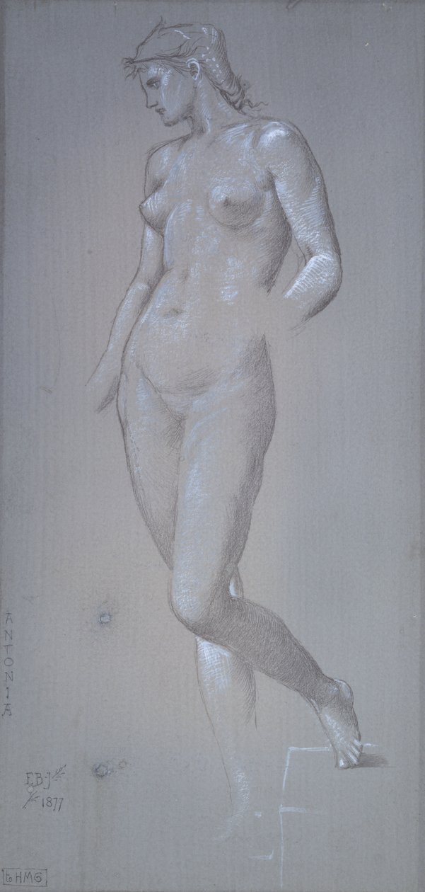 Antonia by Sir Edward Coley Burne Jones