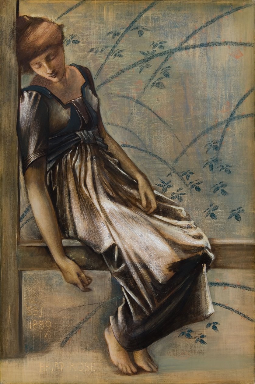 The Briar Rose Series - Study for 