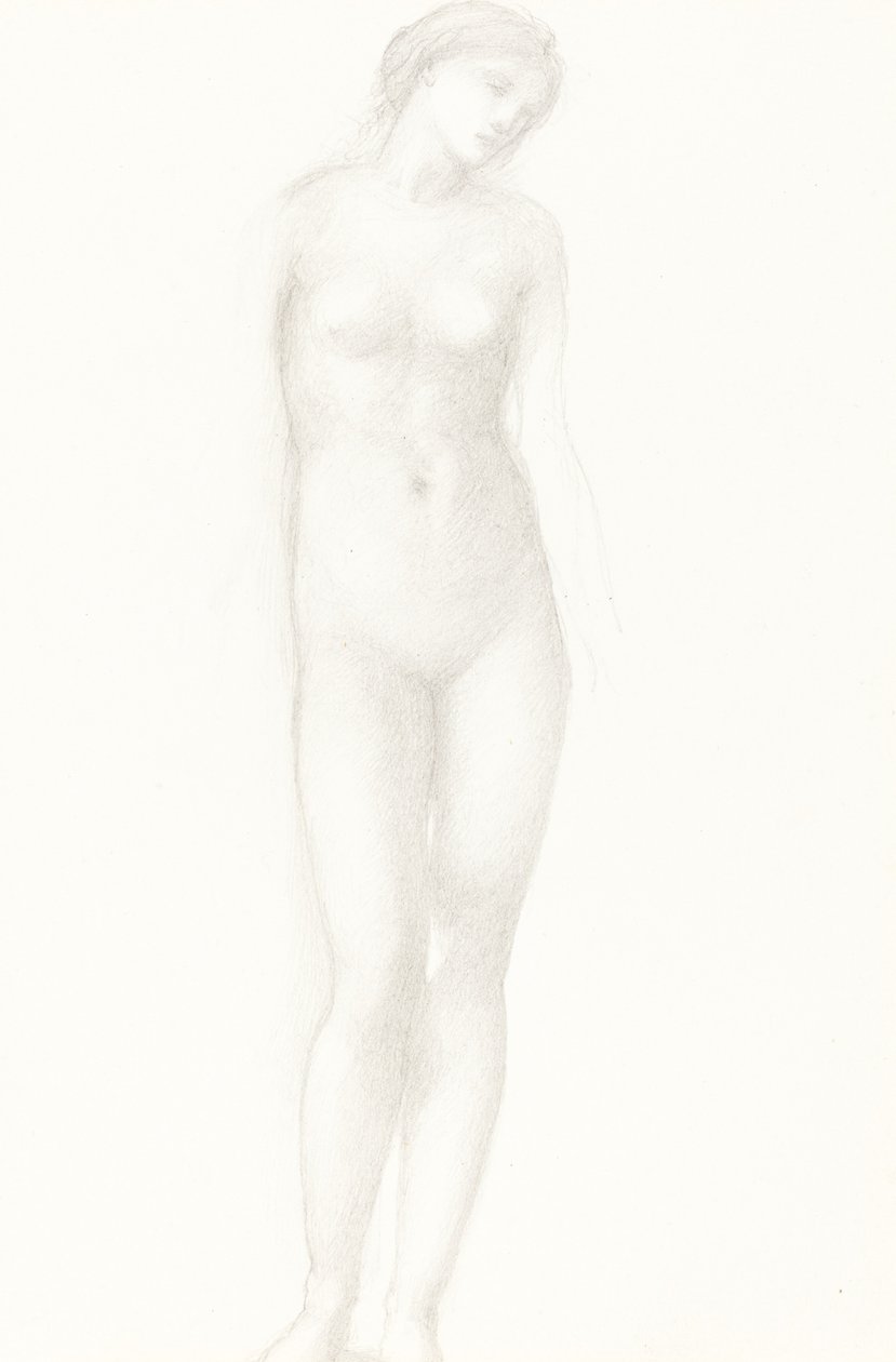 Venus by Sir Edward Coley Burne Jones