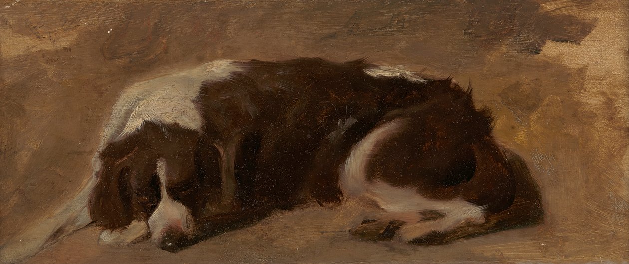 A Spaniel Lying Down by Sir Edwin Henry Landseer