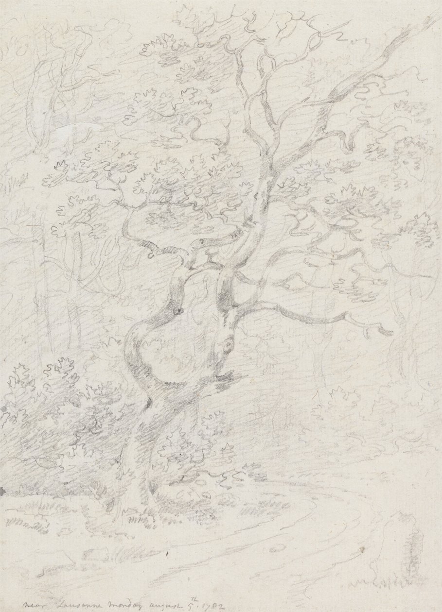 Trees, Near Lausanne by Sir George Howland Beaumont seventh Baronet