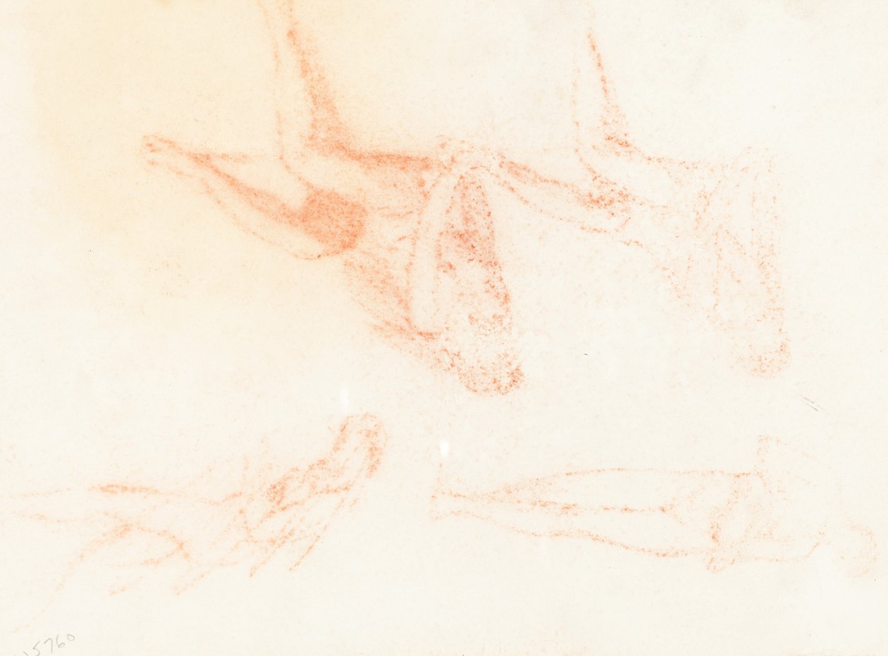 Studies for 