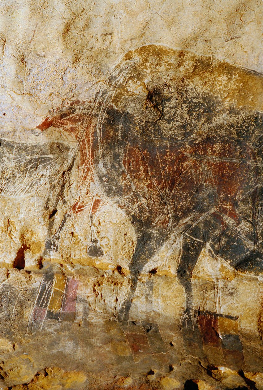 Detail of Engraved Painting of Horse Heads, Lascaux by Sisse Brimberg