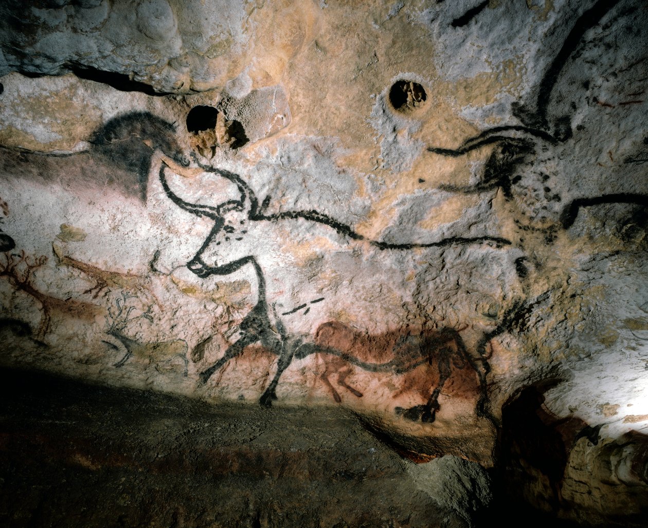 Paleolithic art of bulls, deer, and horses on calcite cave walls, Lascaux, France by Sisse Brimberg