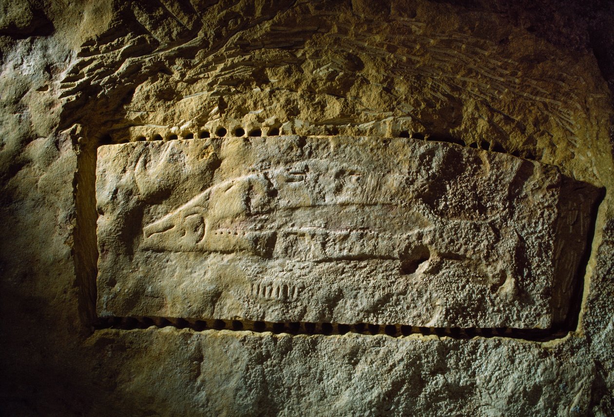 Prehistoric cave carving depicts a salmon, from the Abri du Poisson (Fish Rock Shelter) by Sisse Brimberg