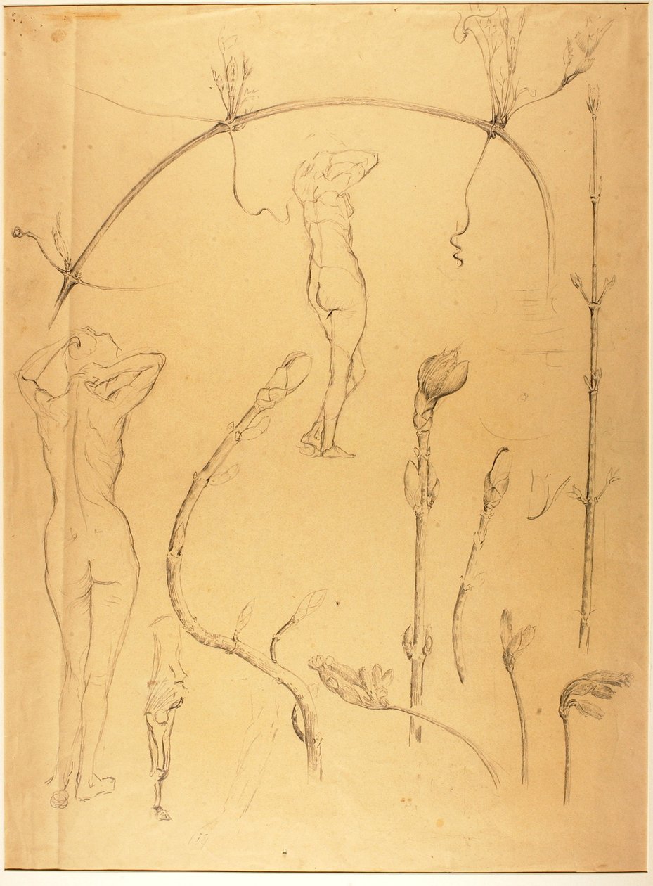 Branch and Nude Study by Solon H. Borglum