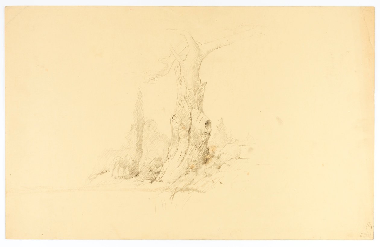 Dead Tree and Colt Grazing by Solon H. Borglum