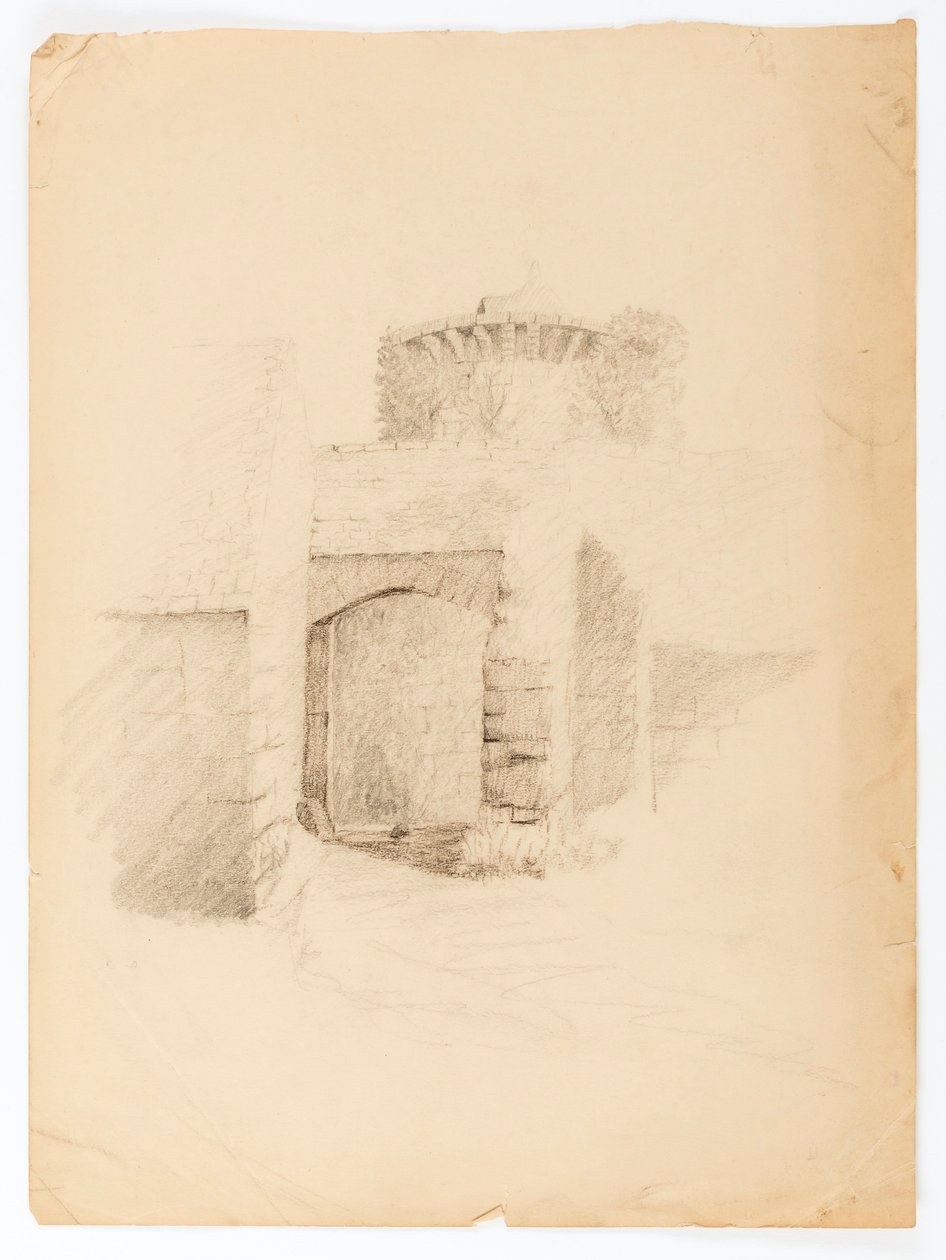 The Castle of Chevenevase by Solon H. Borglum