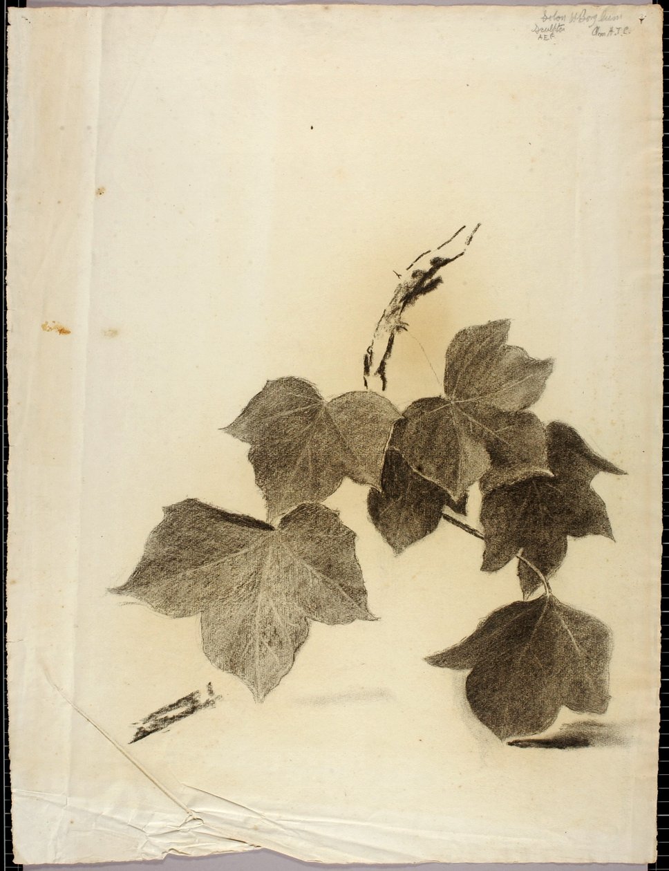 Leaves by Solon H. Borglum