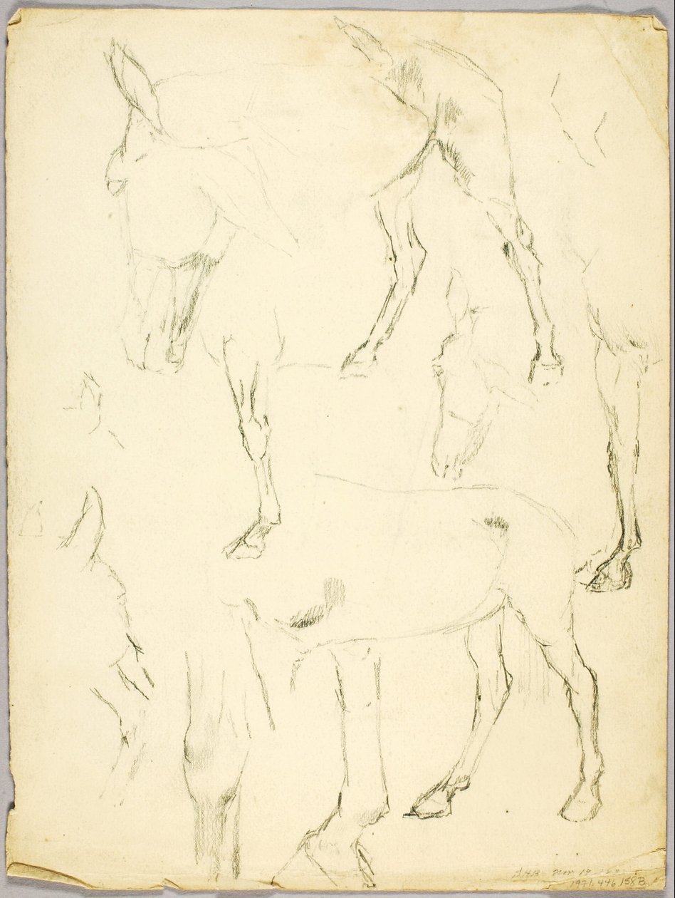 Portrait Study, Horse Study by Solon H. Borglum