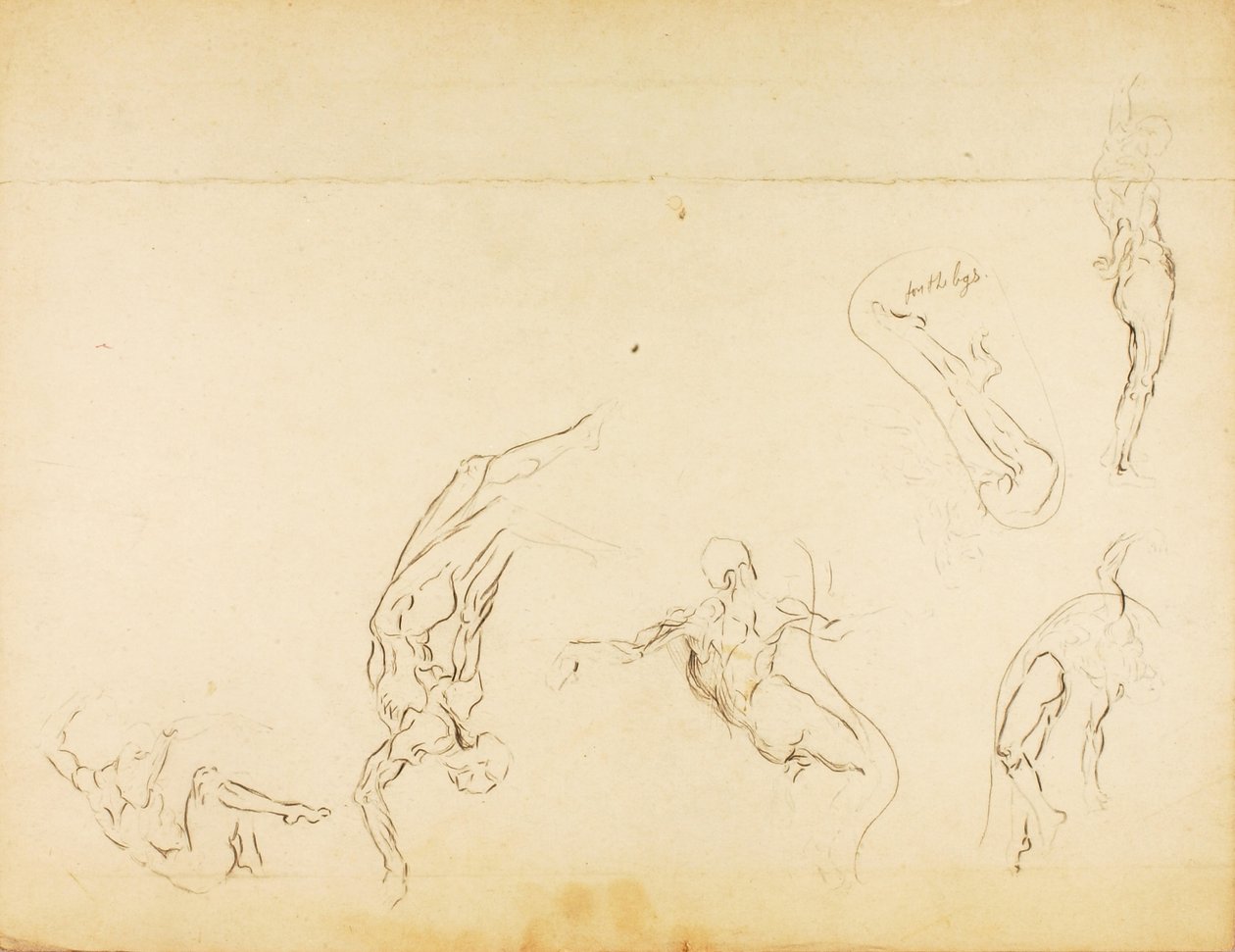 Untitled by Solon H. Borglum