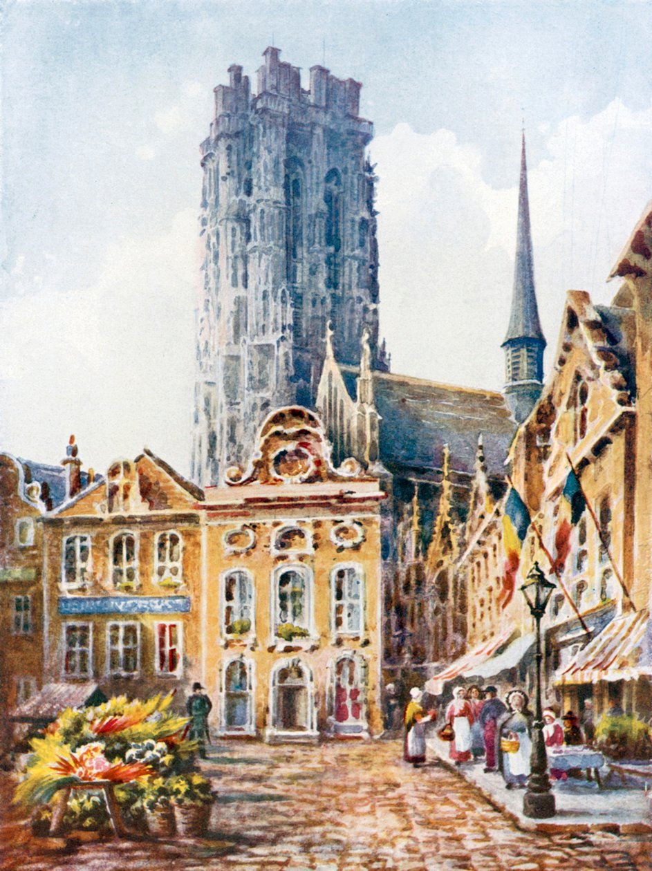 Malines by Sophie D