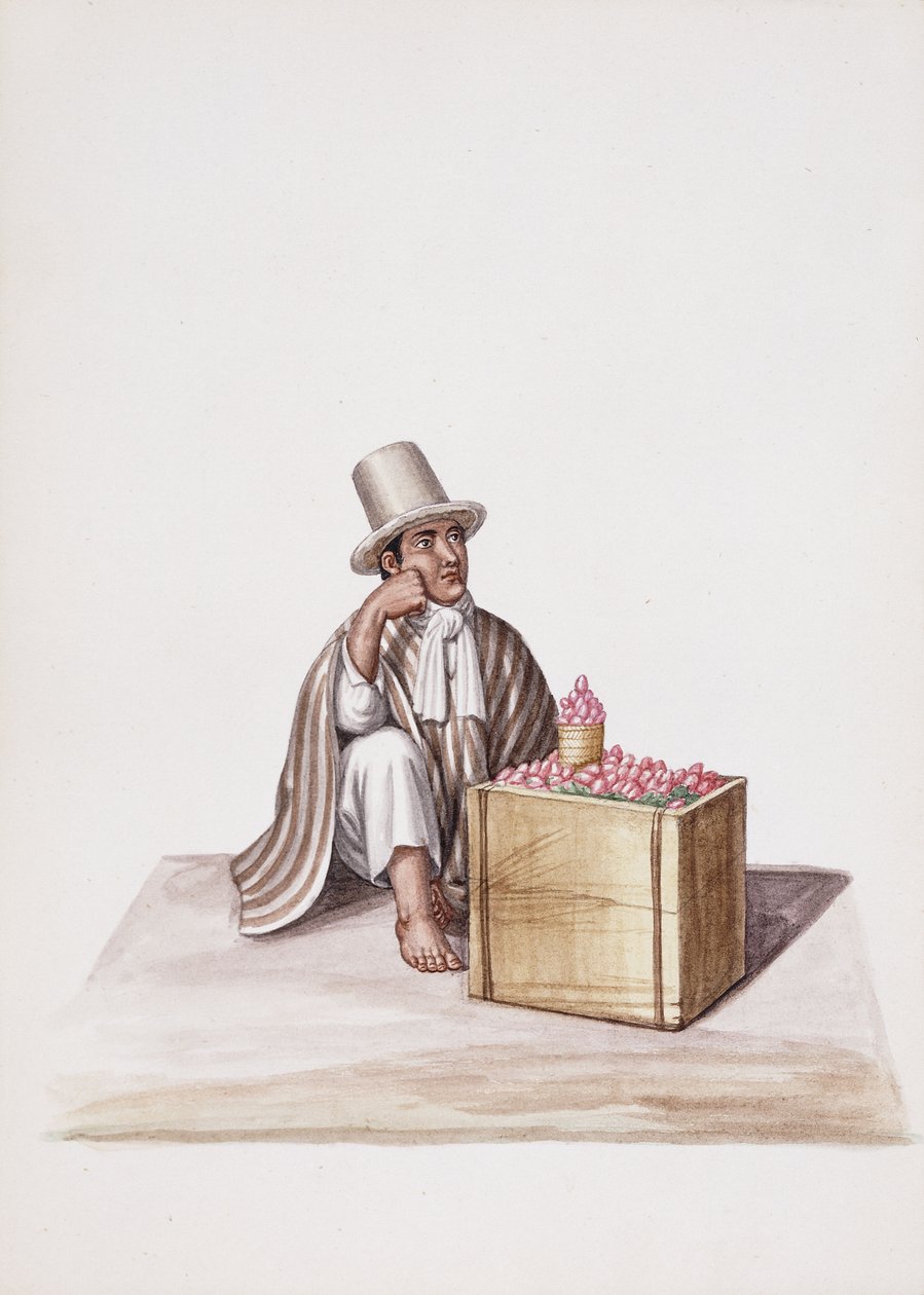 Types and Costumes of New Granada by South American School