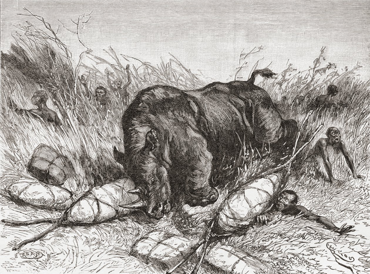 A rhinoceros attacks an expedition, from 