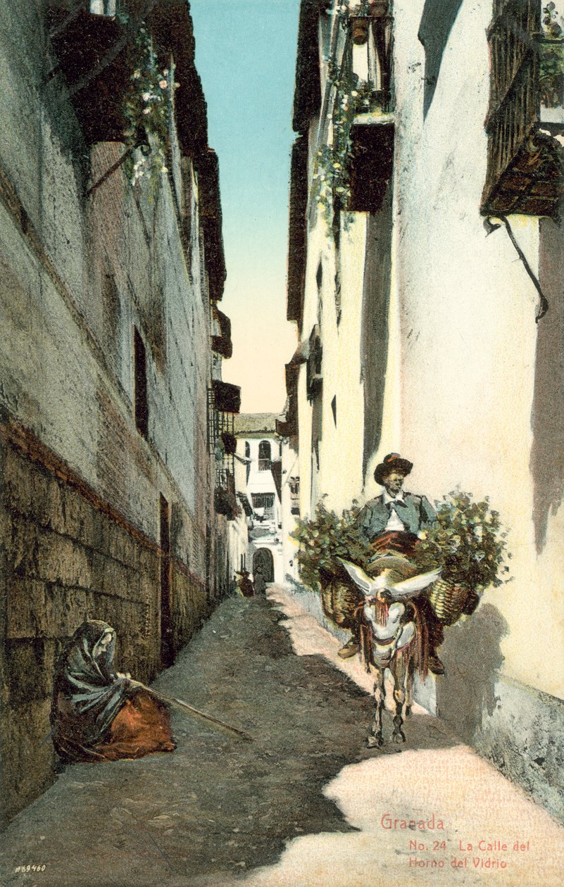 Granada, La Calle Del Horno Del Vidrio, Spain by Spanish Photographer