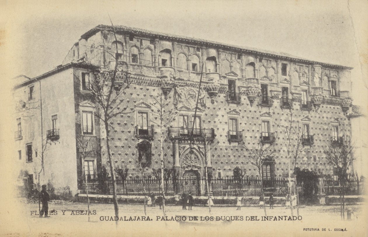 Palacio del Infantado, Guadalajara, Spain by Spanish Photographer