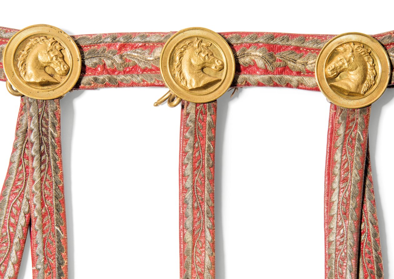 Detail from the Sabretache of Joseph-Napoleon Bonaparte, King of Spain by Spanish School