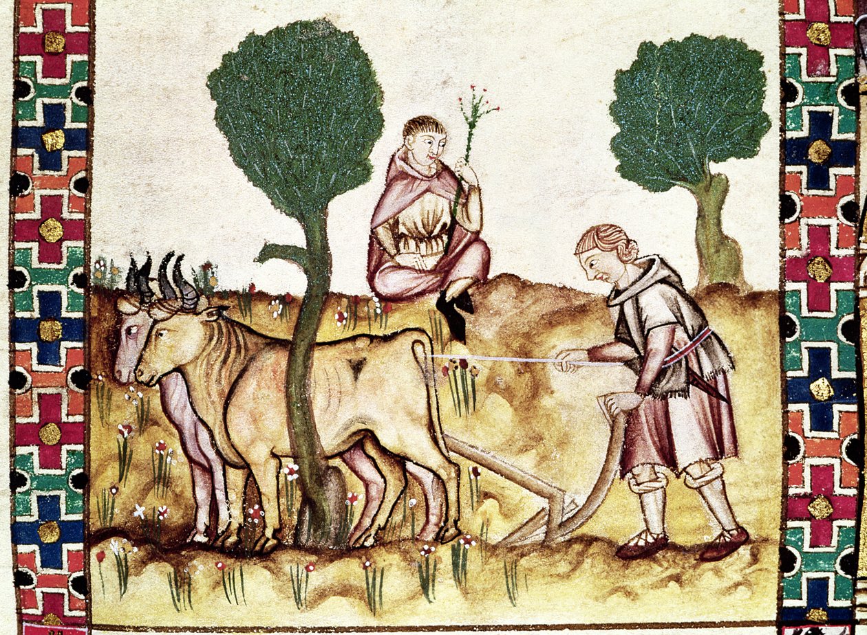 A farmer teaching his son to plough a field by Spanish School