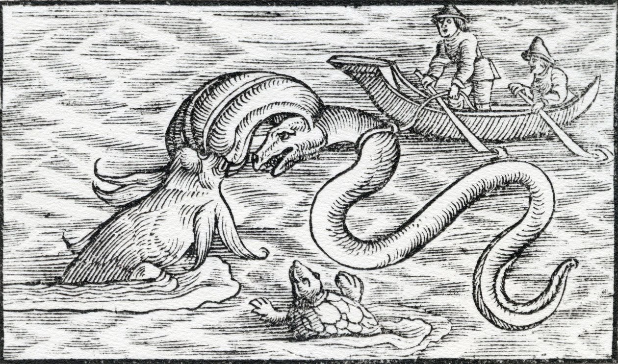 Sea monsters by Spanish School