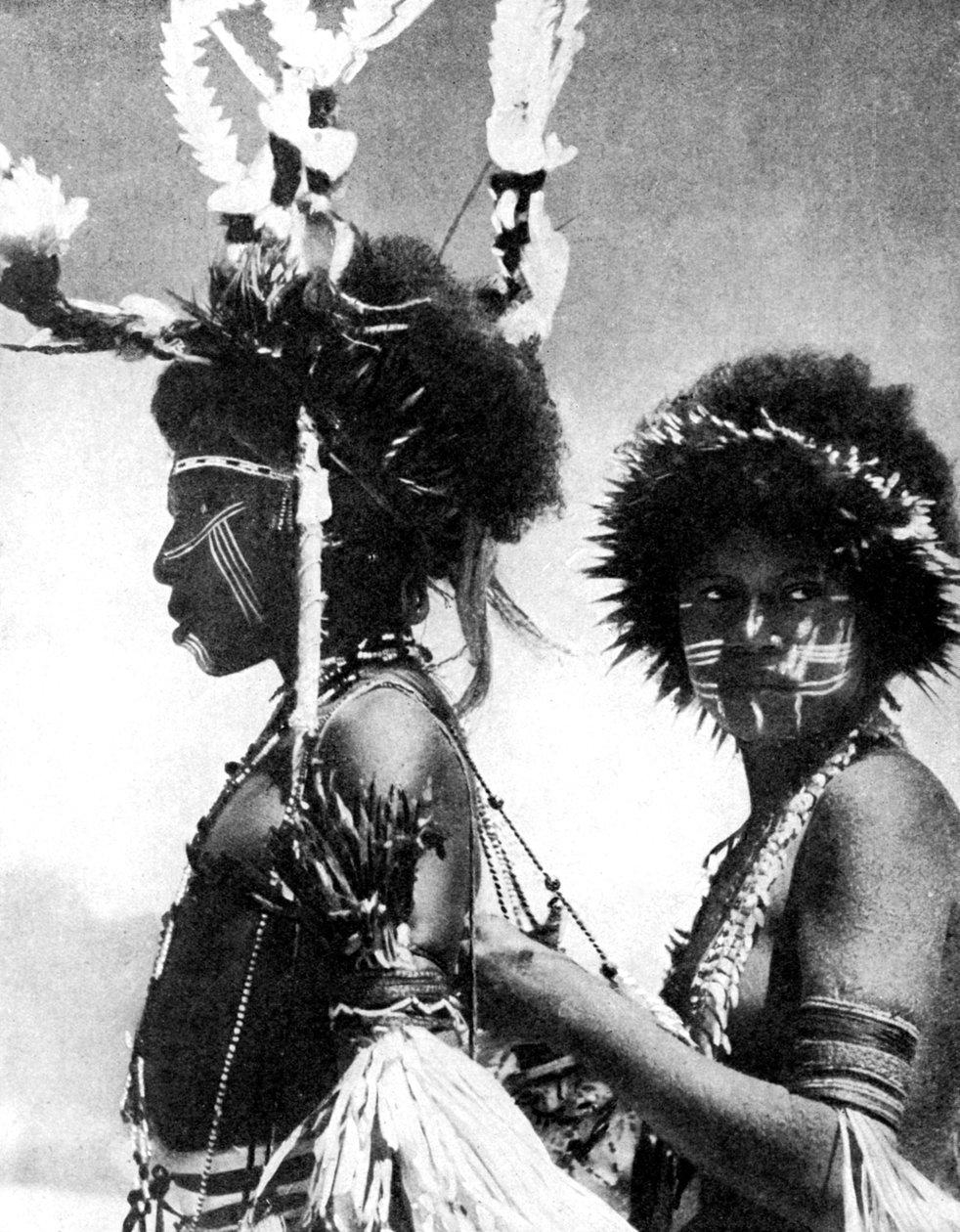 Painted Warriors, Papua, New Guinea, 1936 by Sport and General