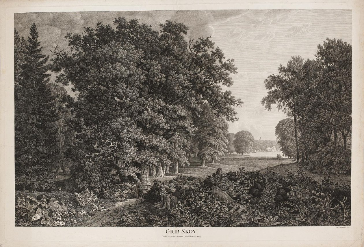 Grib Forest with View Over Esrum Lake to Fredensborg by Søren Henrik Petersen