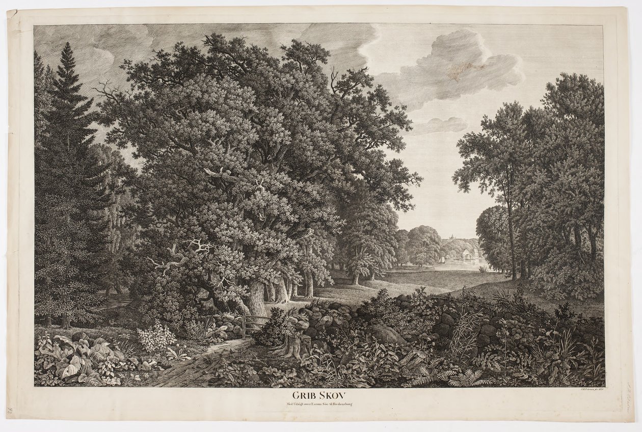Grib Forest with View over Esrum Lake to Fredensborg by Søren Henrik Petersen