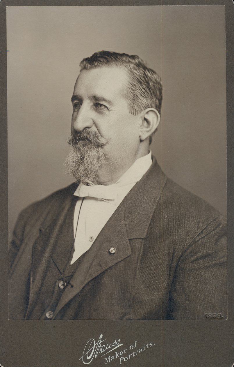 Bust Portrait of Leopold Methudy Wearing a Suit, Vest, and Bow Tie, Turned to the Left by St. Louis Strauss