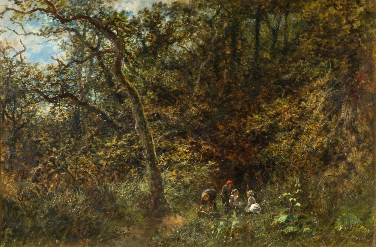 The Young Picknickers by Stannard Hodgson