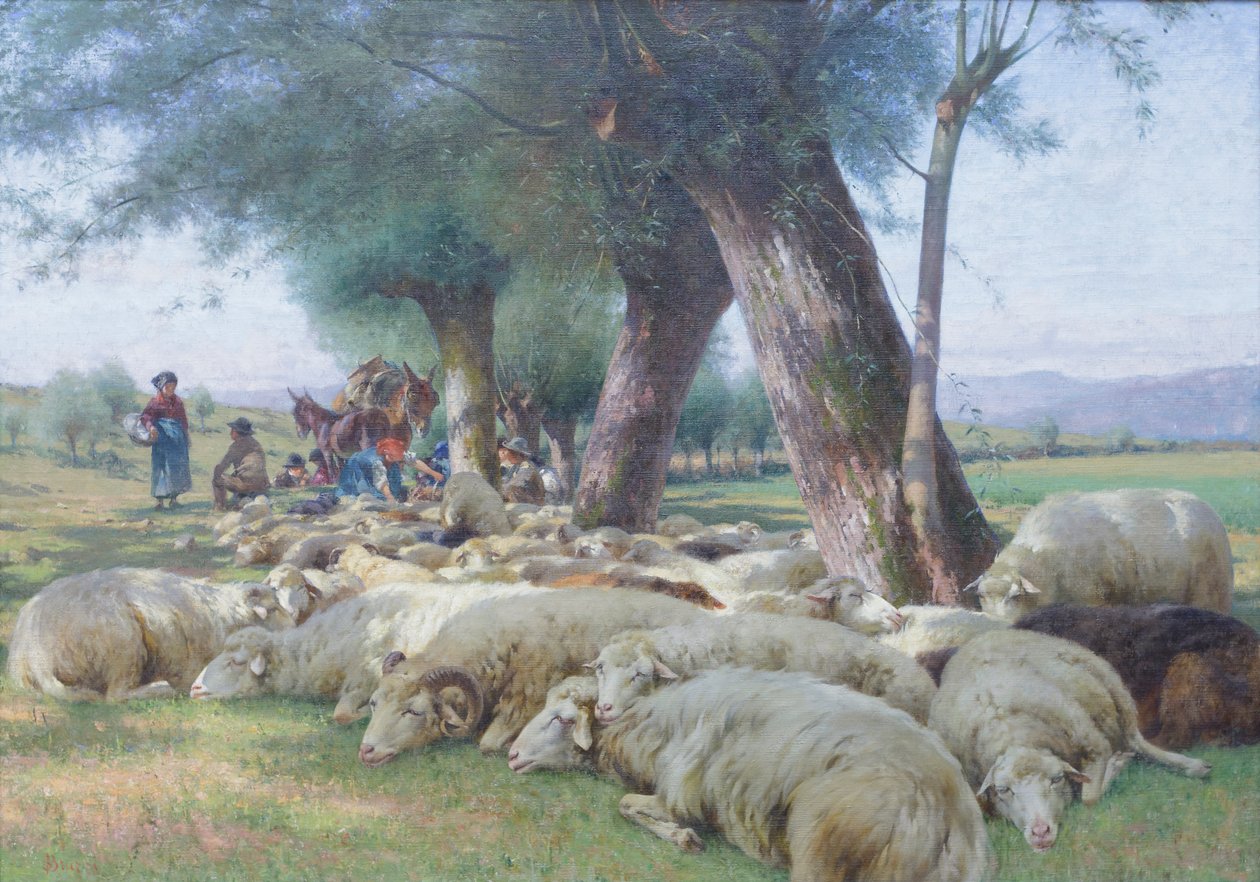Sheep at Rest by Stefano Bruzzi