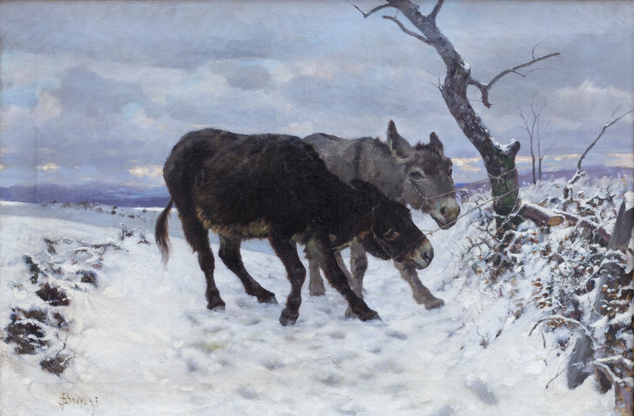 The Two Donkeys in the Snow by Stefano Bruzzi