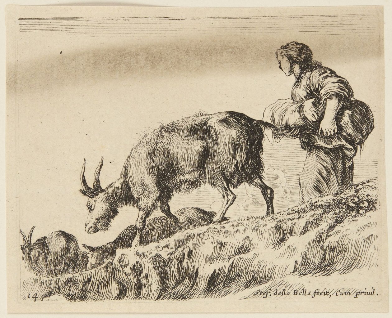 Goats (Various Animals, 14) by Stefano della Bella