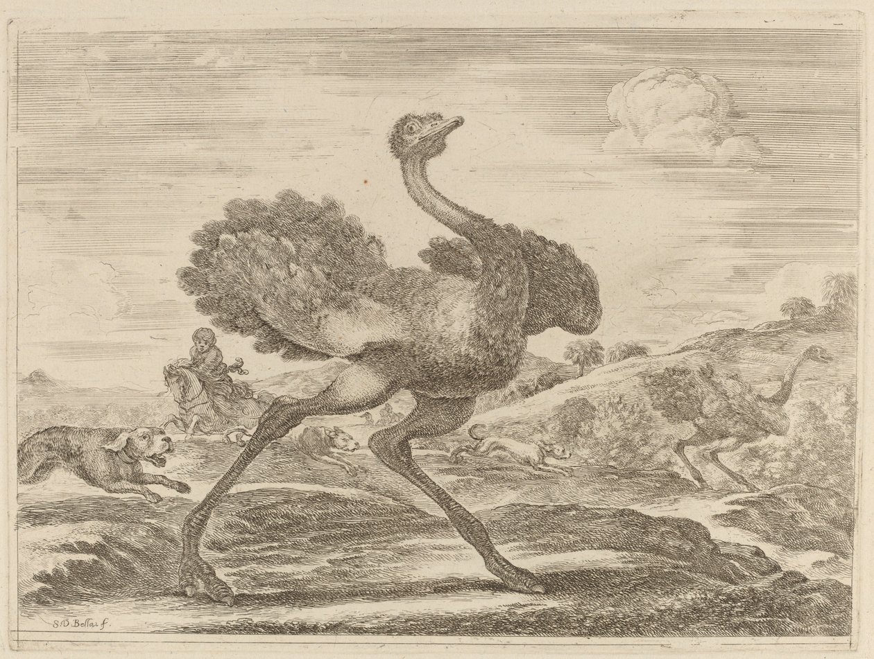 Ostrich Hunt by Stefano della Bella