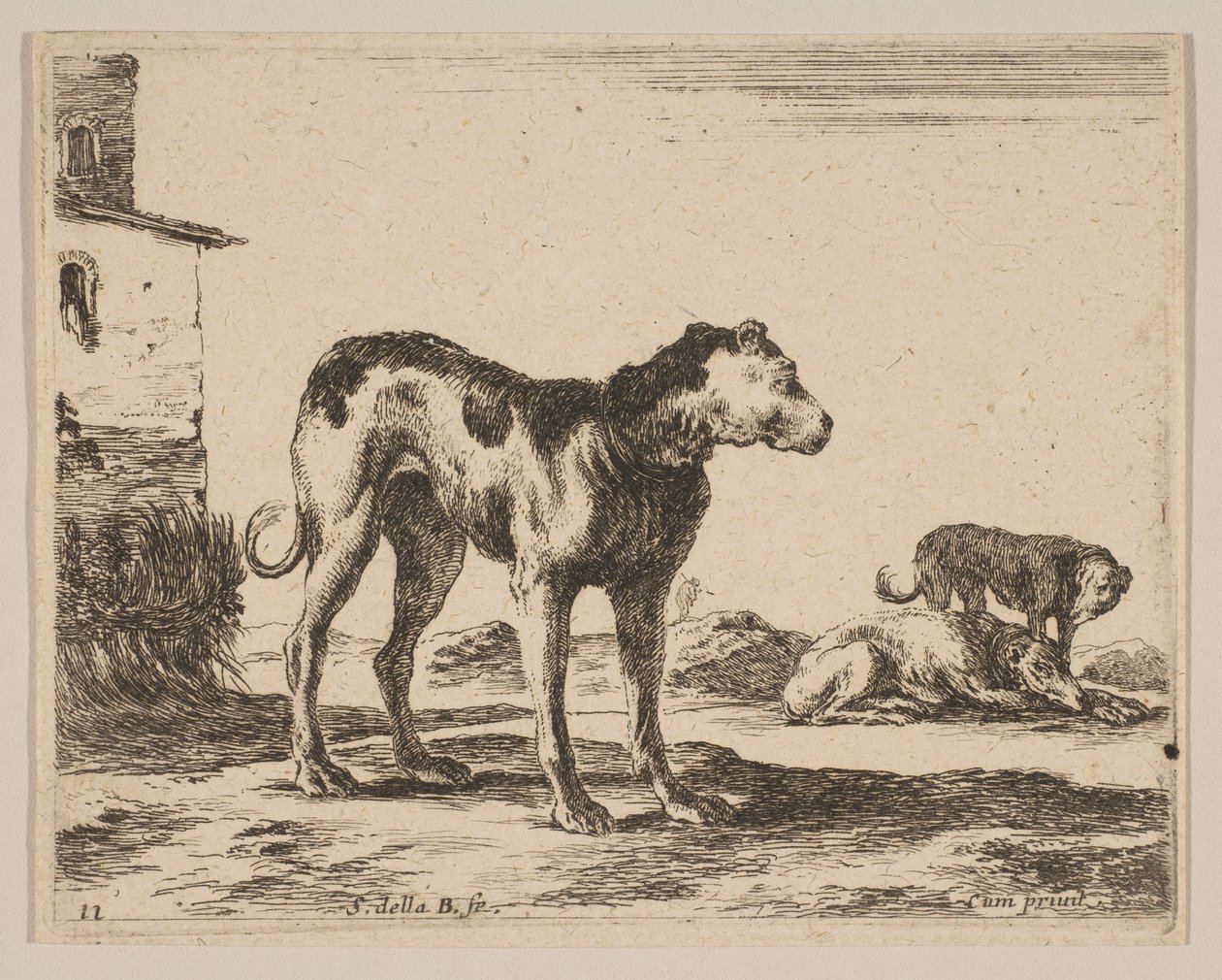 Plate 11: dogs, from Various animals Diversi animali, ca. 1641 by Stefano della Bella