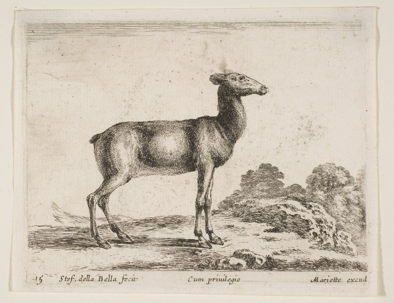 Doe, from Various Animals by Stefano della Bella