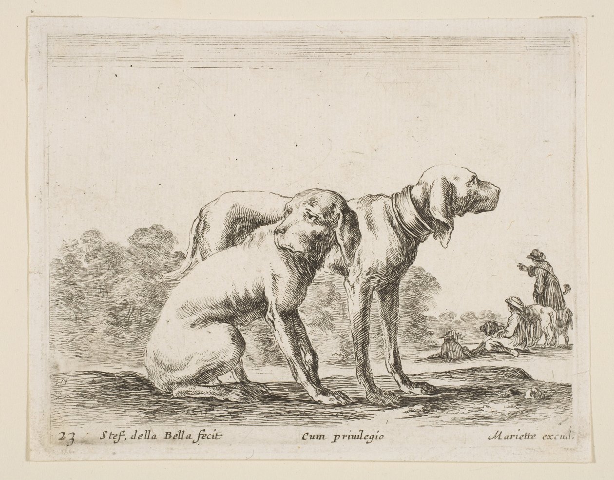 Plate 23: Two Hounds, from Various Animals by Stefano della Bella