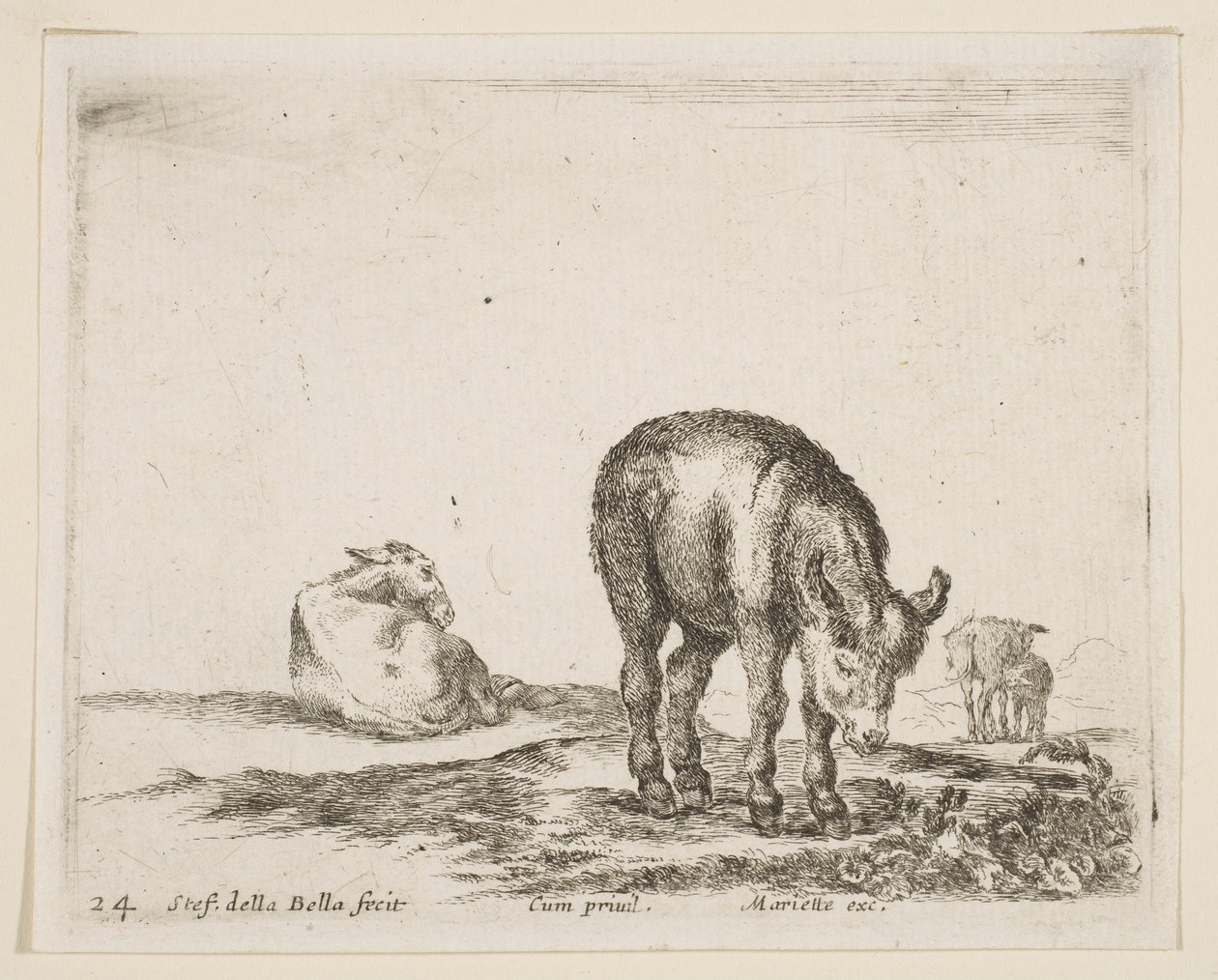 Donkeys, from Various Animals, ca. 1641 by Stefano della Bella