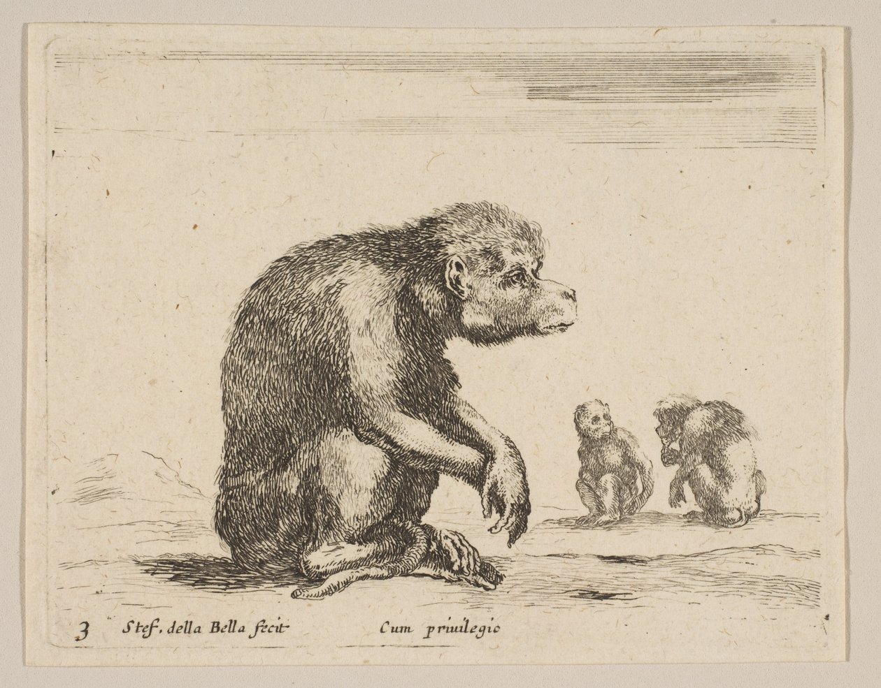 Plate 3: Seated Monkey, from Various Animals by Stefano della Bella