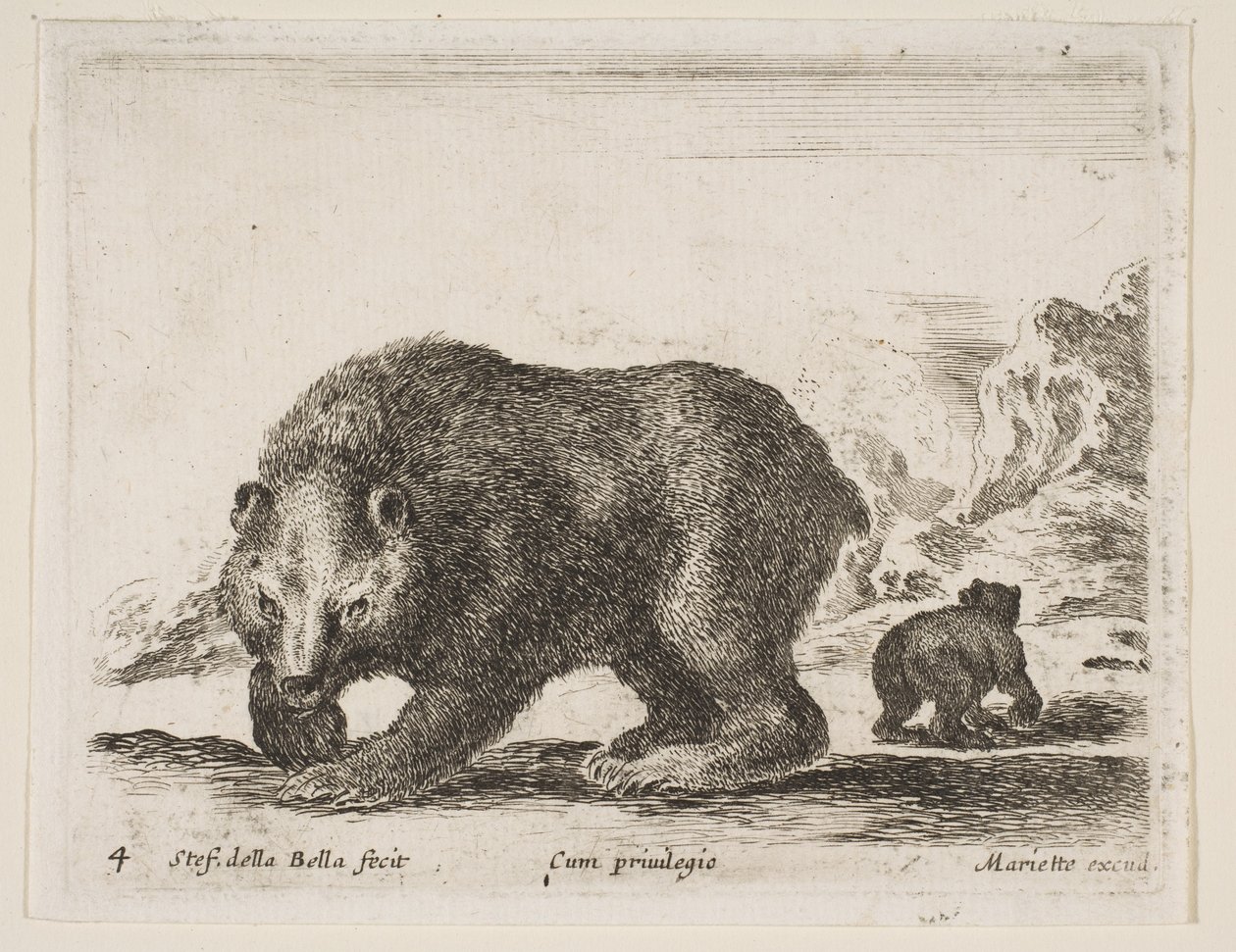 Plate 4: bear, from 
