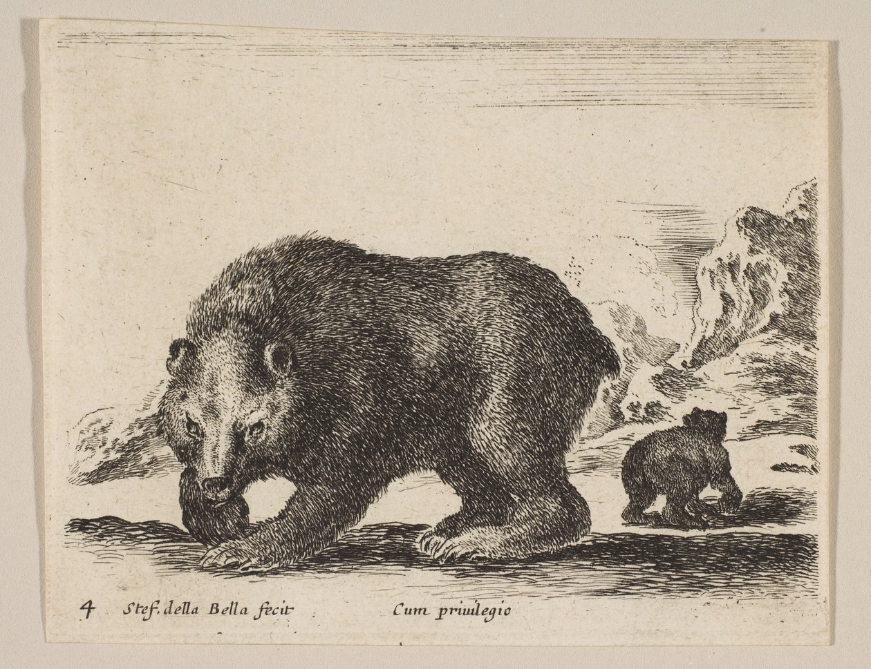 Plate 4: Bear, from 