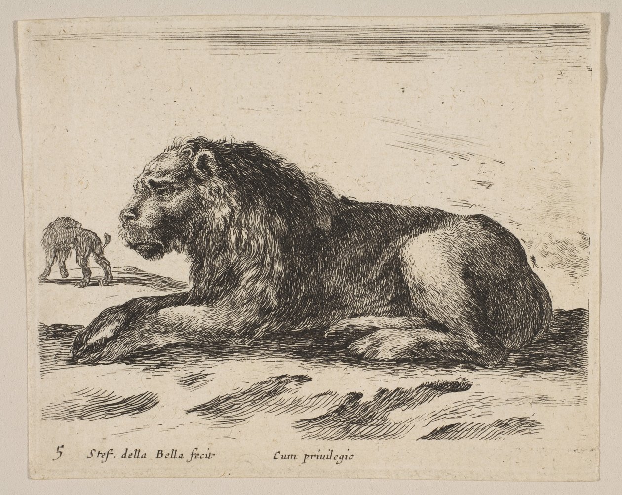 Reclining Lion, from Various Animals by Stefano della Bella