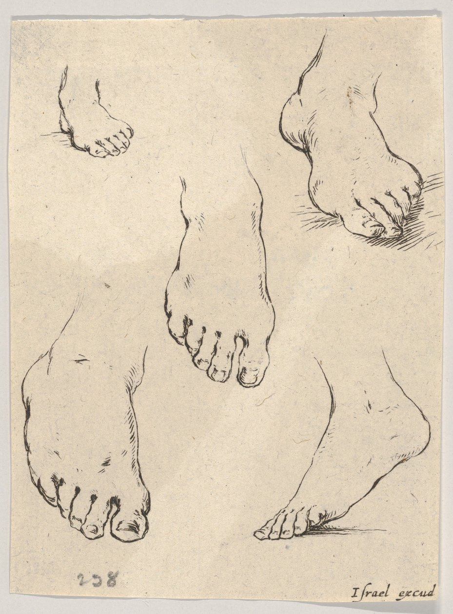 Plate 7: Five feet, from The Book for Learning to Draw by Stefano della Bella